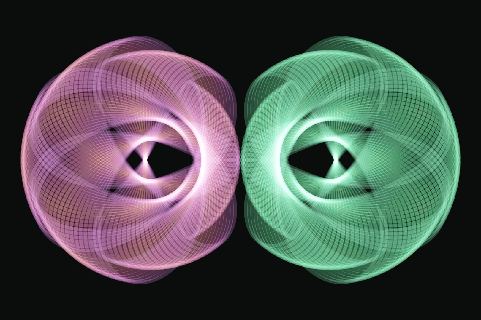 Twin Orbit